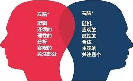 少了一半大脑会发生什么后果？