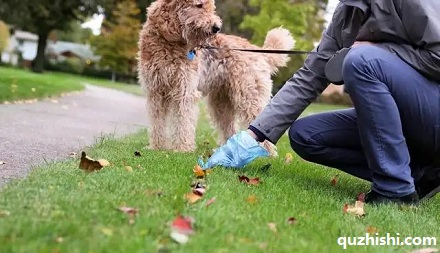 为什么一定要捡狗屎？