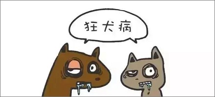 狂犬病为什么被叫做「恐水症」？