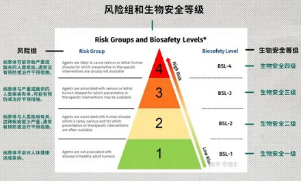 做实验用的动物做完实验之后能吃吗？