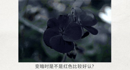 电影院的座椅，为什么普遍是红色的？