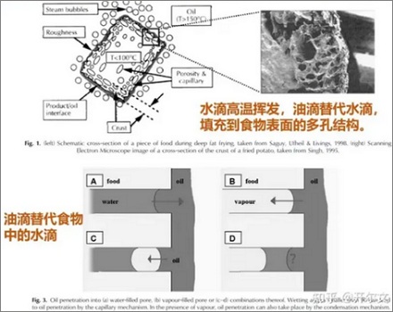 为什么食物在水中煮会变软，而在油中则会变脆？