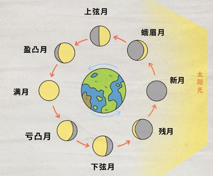 为什么说十五的月亮十六圆？