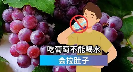 为什么吃完葡萄千万不要立刻喝水？