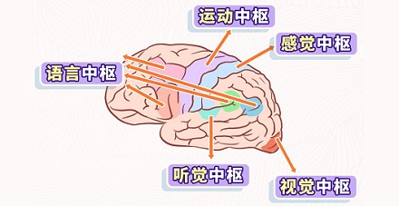 为什么做开颅手术时要把病人叫醒？