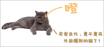 猫闻到你有别的猫的味道会吃醋吗？