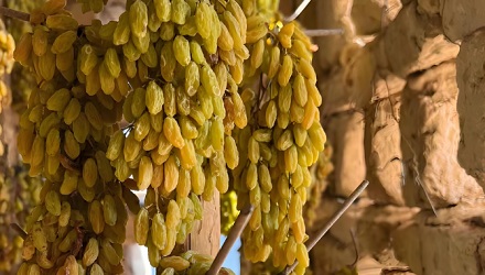 为什么阿富汗路边摆着很多土坯卖？