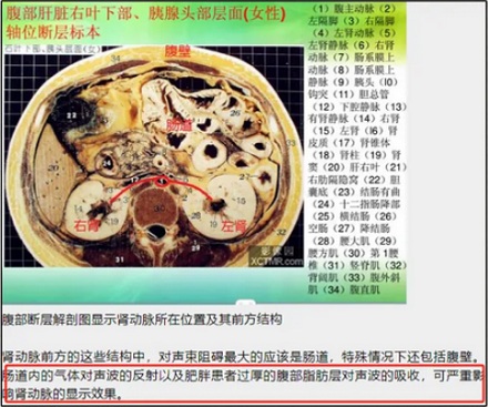 为什么有的超声检测前一定要憋尿?