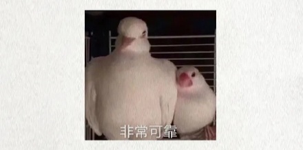 高压线上挂着的小锤锤是干什么用的？