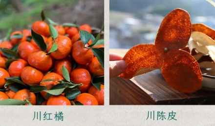 陈皮不就是橘子皮吗？为什么广东会攒陈皮当嫁妆？