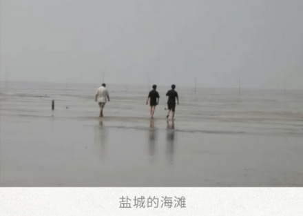 江苏有九百多公里的海岸线,为什么几乎没有岛?