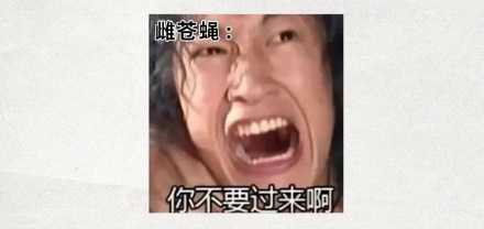 为什么美国要往墨西哥投放几十亿只苍蝇？