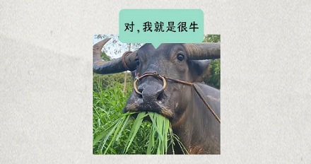 为什么牛光吃草就能长腱子肉人就不行？