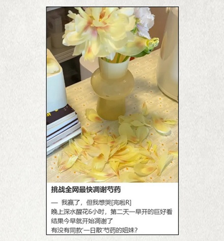 已经开花的芍药为什么必须放进冰箱里?