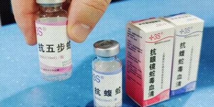 抗蛇毒的血清,为什么只能从马身上抽取?