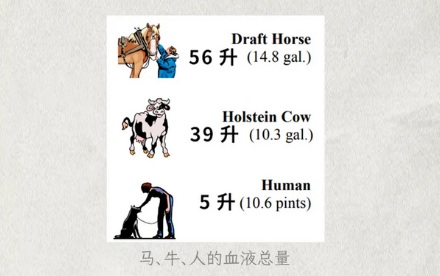 抗蛇毒的血清,为什么只能从马身上抽取?