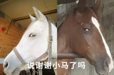 抗蛇毒的血清,为什么只能从马身上抽取?