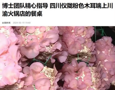 饭店的辣椒炒肉里,为什么定要放白木耳?