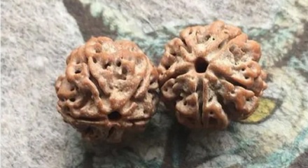 为什么冬天砖墙上会长出白色的「霜粉」？