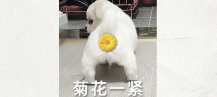 明明手指比大便细，为什么做肛门指检比拉屎疼？