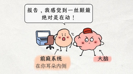 为什么晕车的人很多，晕高铁的人却很少？