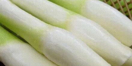 为什么茭白被美国禁止进口了？