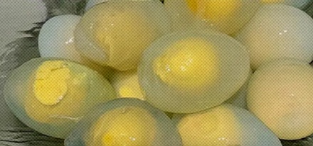 同样是蛋，为什么鸡蛋煮后蛋清是白色的，而鸽子蛋却是半透明的？