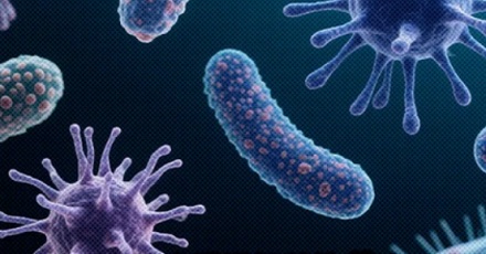 为啥有细菌叫「懒惰狡诈菌」？有多懒惰狡诈？