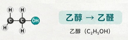 为什么说吃了榴莲，千万千万不要喝酒？
