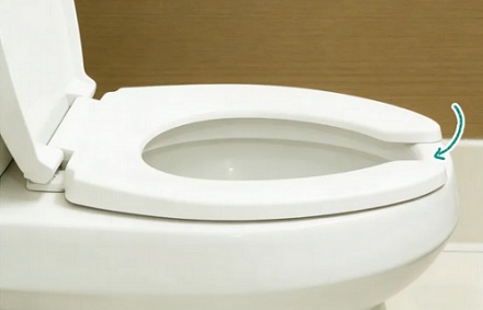 为什么美国的马桶圈前面，有个缺口？