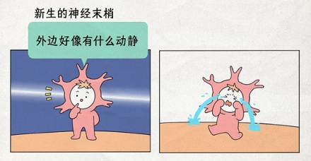 为什么伤口愈合的时候，人会感觉痒痒的？