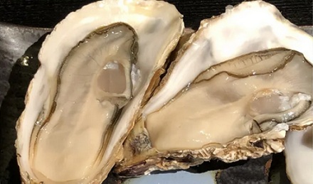 明明长得一样，为啥一个叫牡蛎，一个叫生蚝？