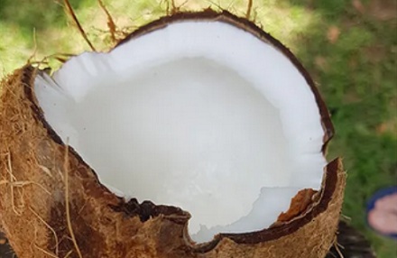 为啥椰子水是透明的，超市卖的椰汁却是乳白色的？