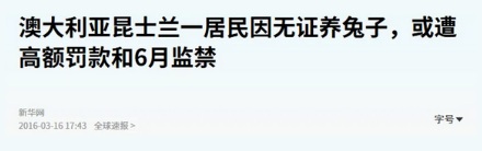 为什么在澳大利亚昆士兰养免子，要先证明自己是魔术师？