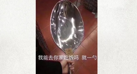 为什么在澳大利亚昆士兰养免子，要先证明自己是魔术师？