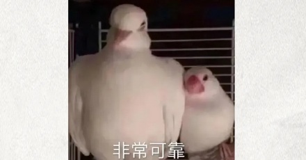 为什么 ATM 机的按键都是金属的？
