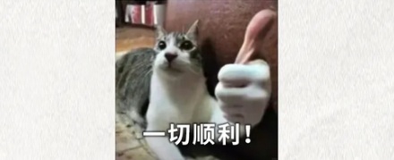 为什么百老汇演员在演出前，会互相祝福对方「断条腿」？