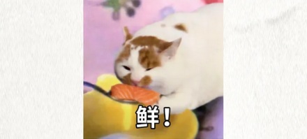 为啥在飞机上吃海鲜，海鲜会变得更鲜？