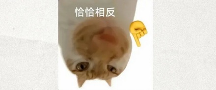 为什么《哆啦 A 梦》里大雄的试卷上都是对勾，却得了 0 分？