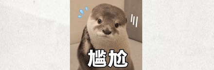 为什么「泰迪」指的不是一种狗，而是一种造型？