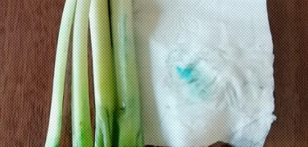 为啥新买的葱一擦就「掉色」是染色了吗？