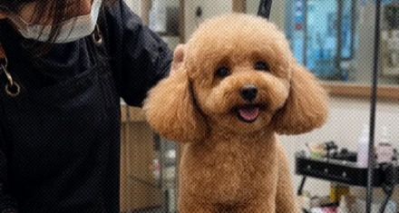 为什么世界杯夺冠之后，奖杯还要还回去？