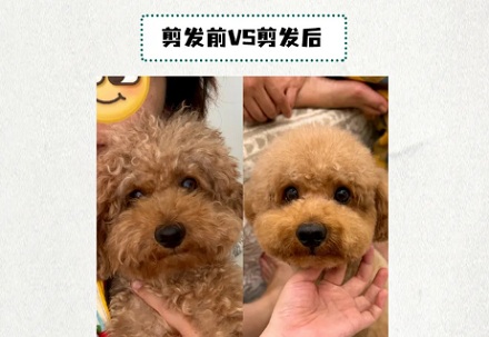 为什么世界杯夺冠之后，奖杯还要还回去？