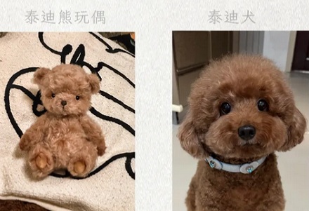 为什么世界杯夺冠之后，奖杯还要还回去？
