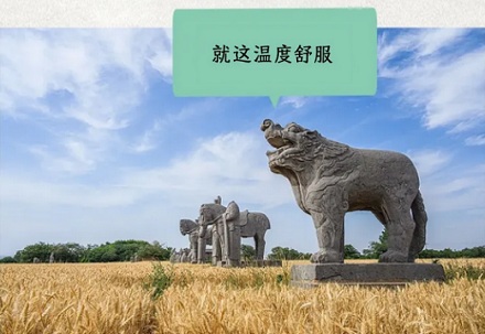 为什么博物馆里的文物要装个玻璃罩，室外的文物却很少装？