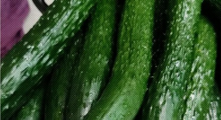 为什么黄瓜可以用来驱赶蟑螂？