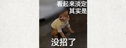 为什么在雨天，蜘蛛会把自己织的网吃了？