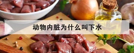 动物内脏为什么叫「下水」？