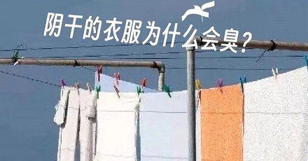 阴干的衣服为什么有臭味？