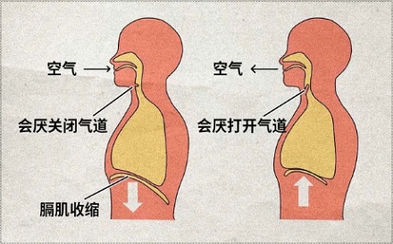 为什么打嗝时被吓一跳就会好？